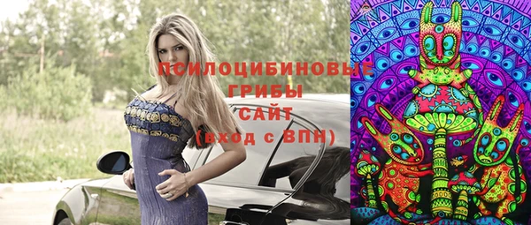марки nbome Гусев