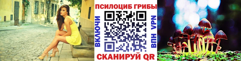 закладки Слободской Псилоцибиновые грибы GOLDEN TEACHER